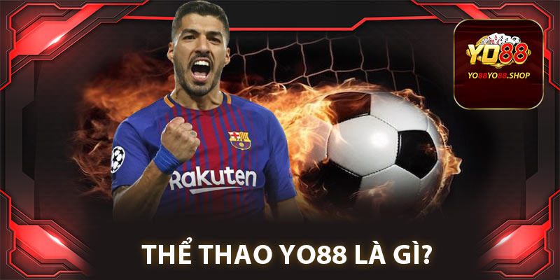 Thể Thao Yo88: Khám Phá Cá Cược, Cùng Chinh Phục Mỗi Trận Đấu 1 Thể thao Yo88 là gì?